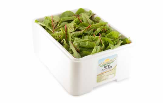red chard