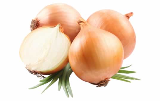 cebolla común