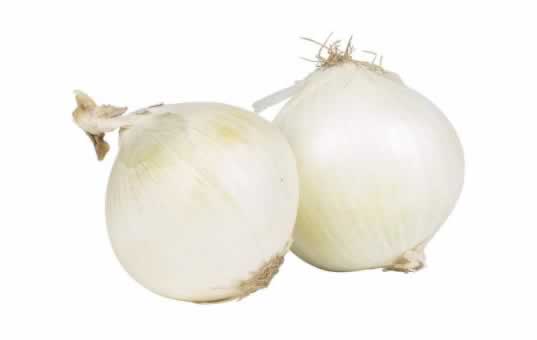 cebolla blanca