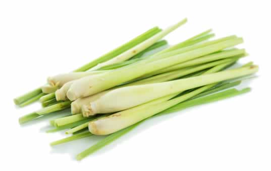 lemon grass