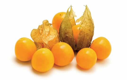 physalis