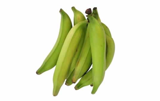 platano macho