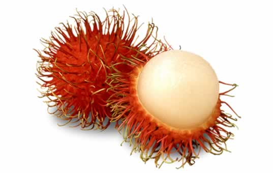 rambután