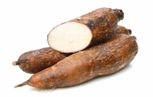 yuca