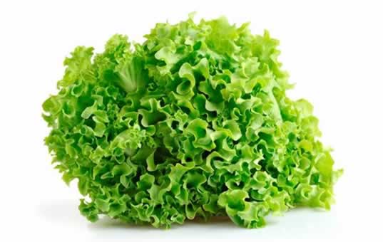 lollo verde